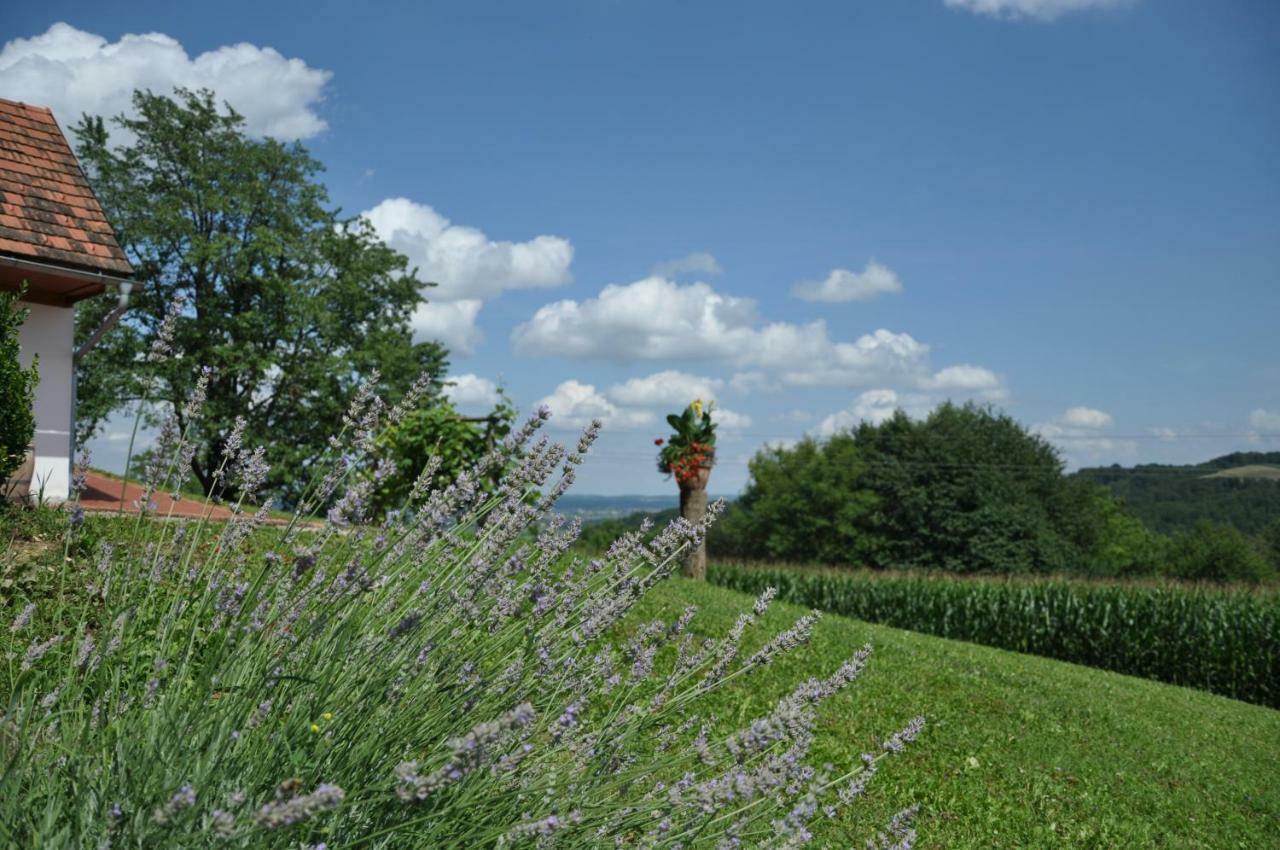 S' Kellerstoeckl Villa Fürstenfeld Exterior foto